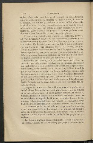 Página 198