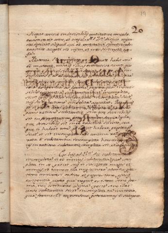 Página 19