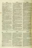 262