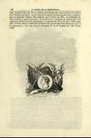 Pag. 104