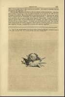Pag. 173