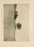 PLATE I