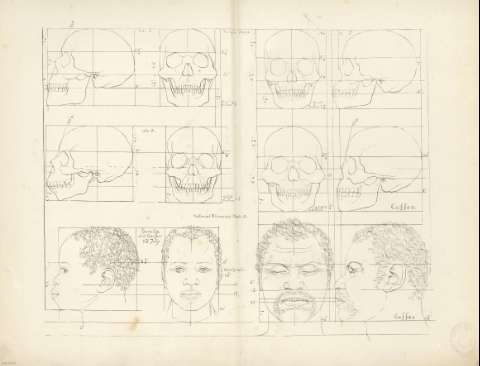 Plate. III