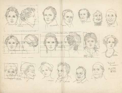 Plate. XXI