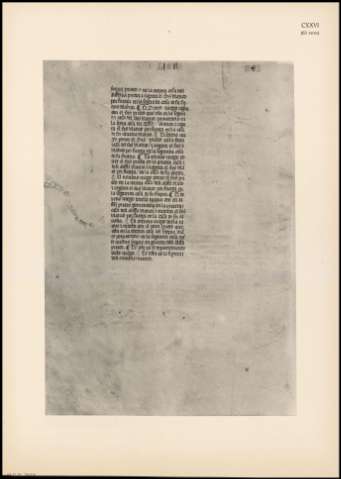 ILUSTRACIÓN