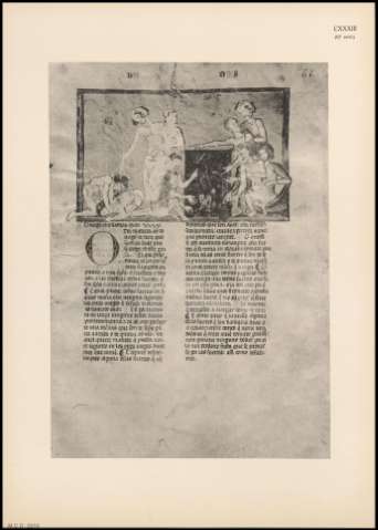 ILUSTRACIÓN