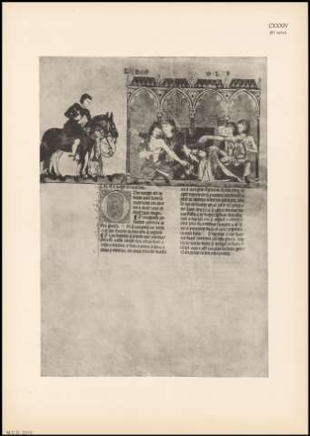 ILUSTRACIÓN