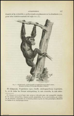 Página 117