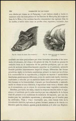 Página 364