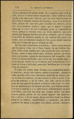 Página 176