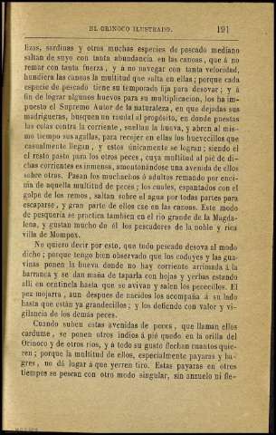 Página 191
