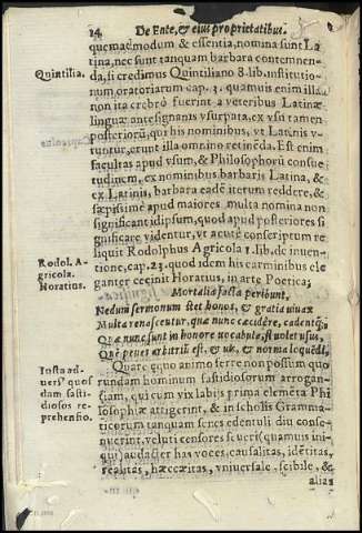 Página 14