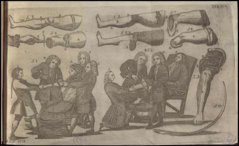 ILUSTRACIÓN