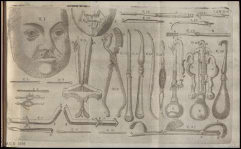 ILUSTRACIÓN