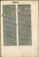 81