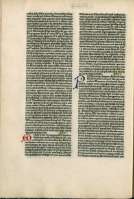 84