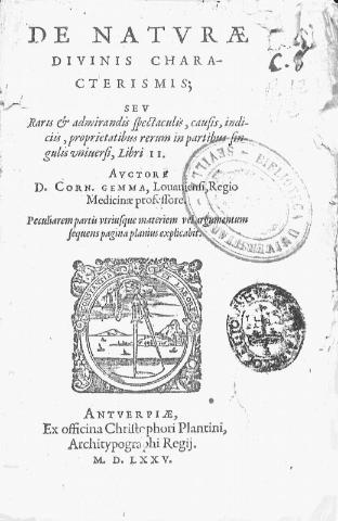 application/pdf