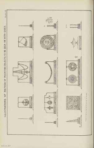 PLATE 19