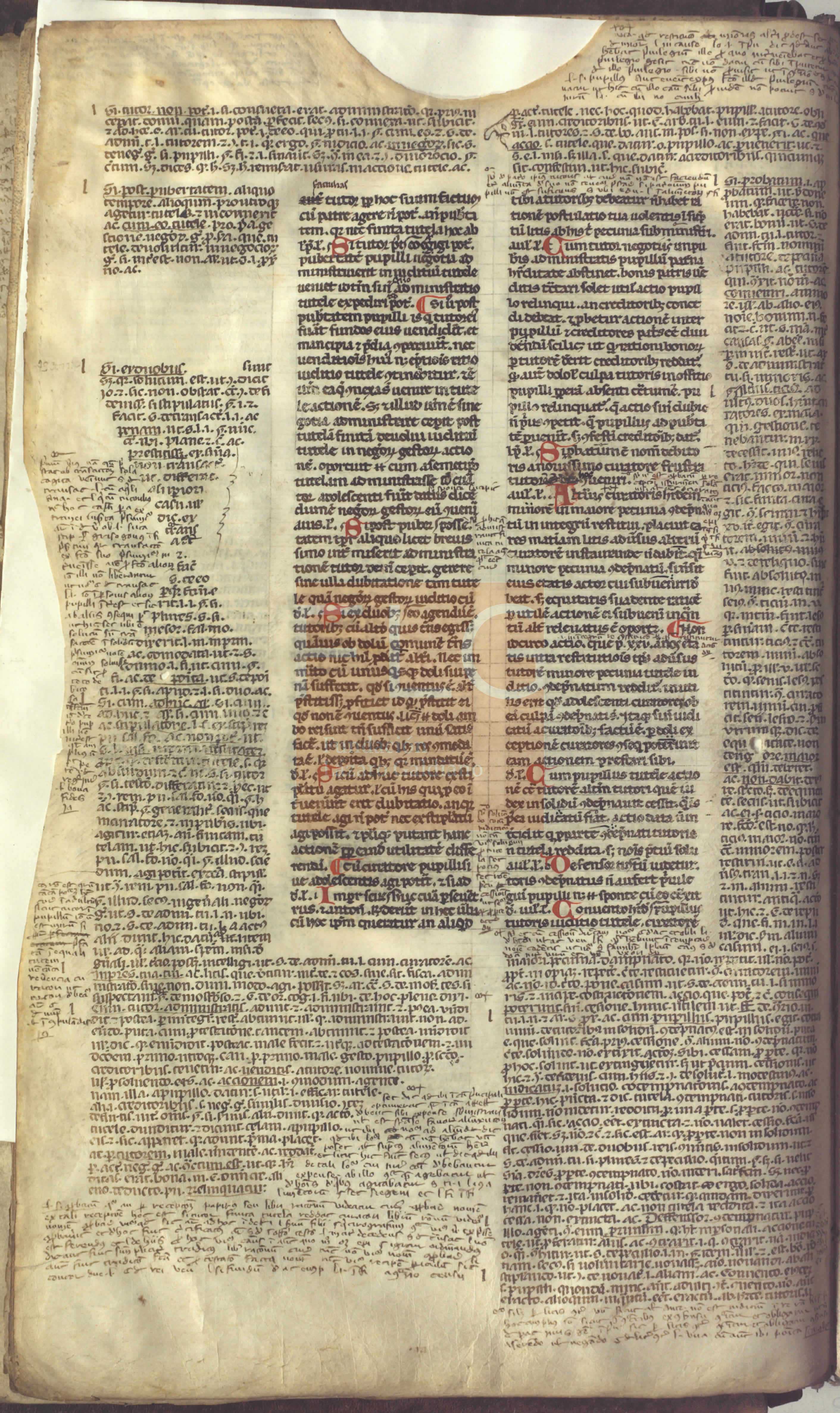 Fol. 24v