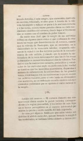 Página 196
