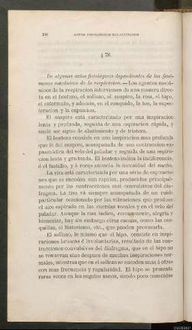 Página 256