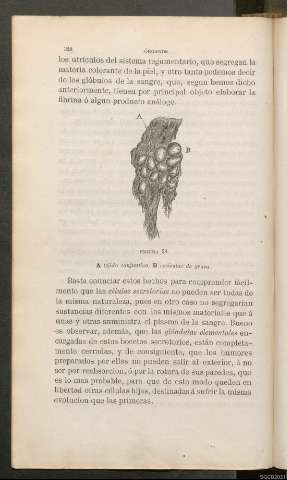 Página 328