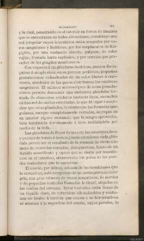 Página 331