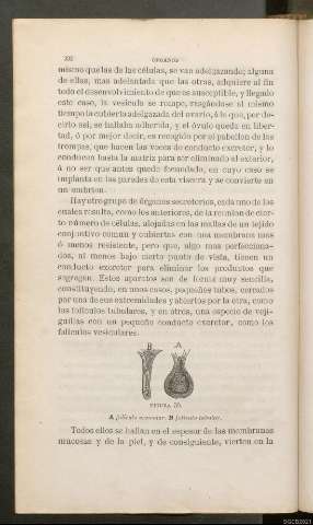 Página 332