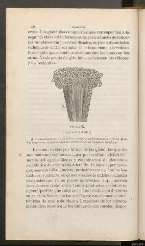 Página 334