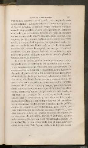 Página 377