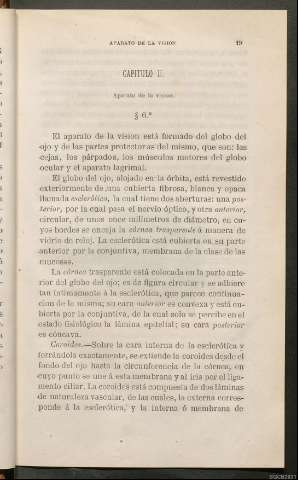 Página 19