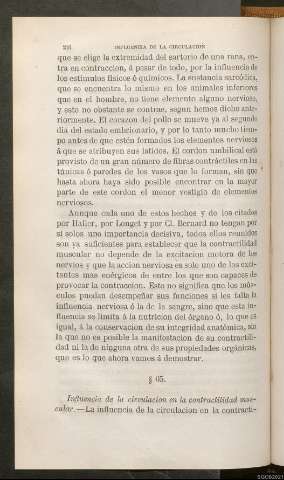 Página 216