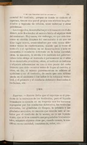 Página 371