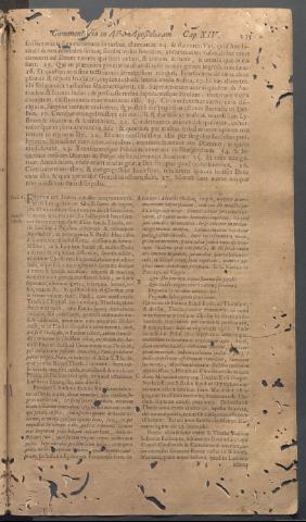 Página 235