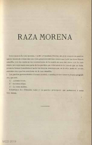 Página 0247