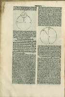 228