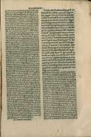 255
