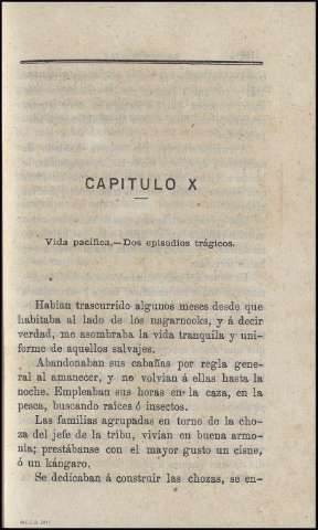 CAPÍTULO X