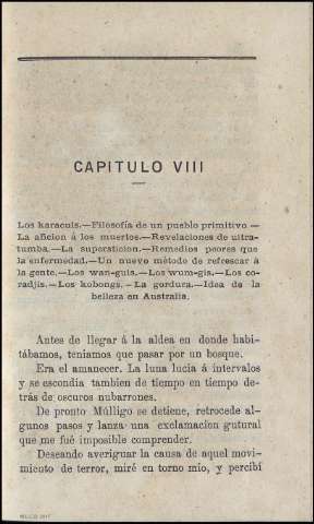 CAPÍTULO VIII